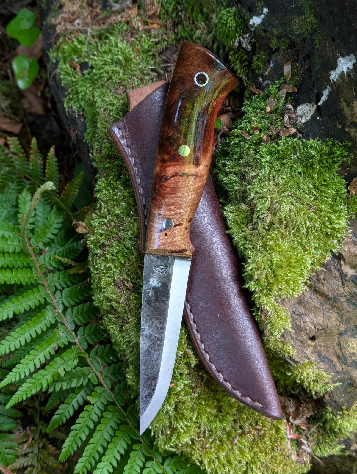 Shrike Puukko